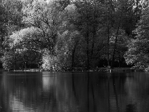 trees, lake, reflection, viewes