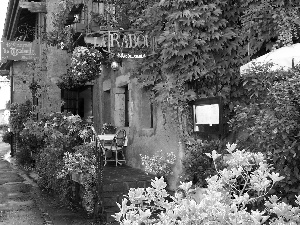 Street, Restaurant