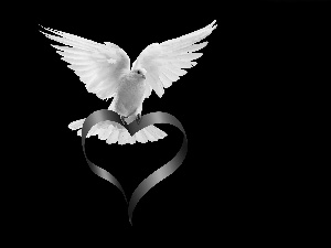 ribbon, dove, Heart