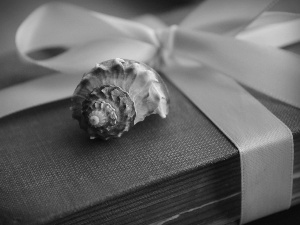 Old, shell, ribbon, Book