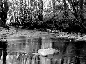 autumn, River