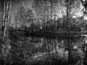 viewes, autumn, River, bridge, birch, trees