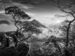 viewes, pine, Fog, rocks, Sunrise, trees, Mountains, River