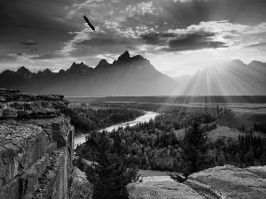 rays, west, River, forest, rocks, sun