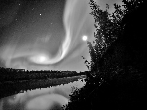 rays, dawn, River, forest, sun, Polaris