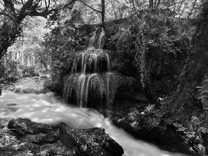 River, waterfall, forest