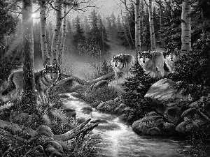 River, wolves, forest