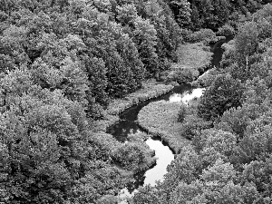 Green, Meandering, River, forest