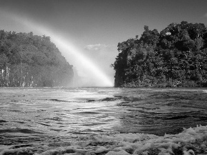 Great Rainbows, viewes, River, trees