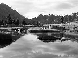 forest, dawn, River, reflection, Meadow, Mountains