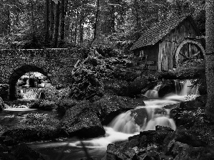 forest, stone, rocks, bridge, Windmill, viewes, trees, River