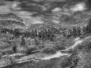 River, Mountains, Spruces