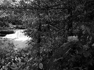 River, vegetation, water, waterfall, Windmill