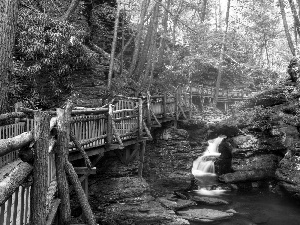 wooden, tear, River, bridge