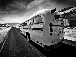 road, Yellow, bus