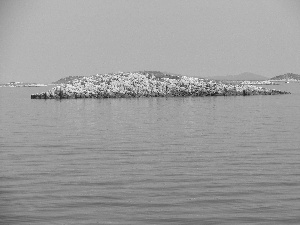 Coartia, Stones, Rocks, sea