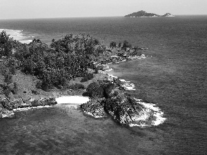 Coast, Island, rocks, sea