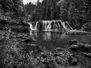 Lower Lewis River Falls, River, rocks, forest, Washington State, The United States, viewes, Cougar Settlement, trees