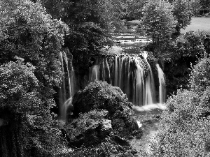 forest, waterfall, rocks, River