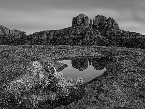 rocks, Cactus, lake