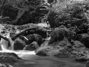 forest, River, rocks, mosses, flash, luminosity, ligh, sun, Przebijające