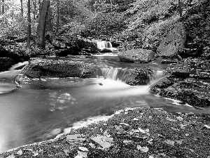 rocks, mosses, River, waterfall, forest