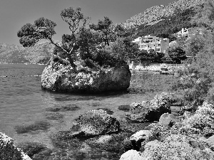 Mountains, Coast, rocks, sea