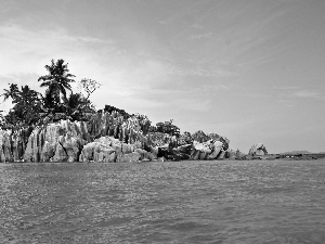 rocks, Palms, Waves, Island, sea