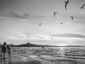 rocks, People, sea, Beaches, birds