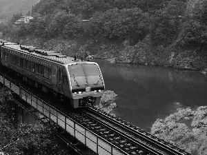 Houses, Train, rocks, River, forest, bridge