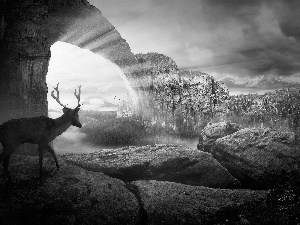 Mountains, graphics, rocks, Przebijaj?ce, luminosity, deer, sun, flash, ligh