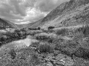 Valley, grass, rocks, stream