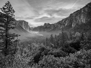 Fog, autumn, trees, California, viewes, Yosemite National Park, rocks, The United States, Mountains, Bush