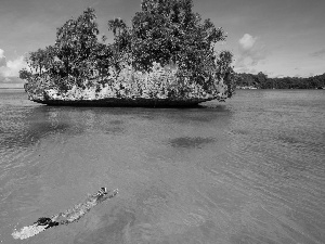 Rocks, Snorkeling, water