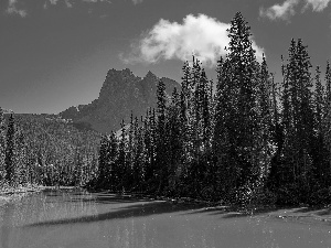 trees, viewes, Canada, rocky mountains, British Columbia, Emerald Lake, lake, Yoho National Park