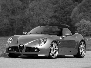 Way, viewes, Alfa Romeo 8c Spider, trees