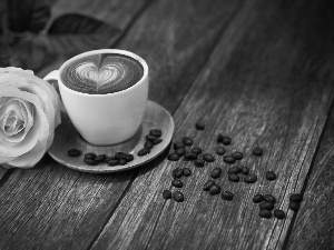 coffee, White, rose, cup