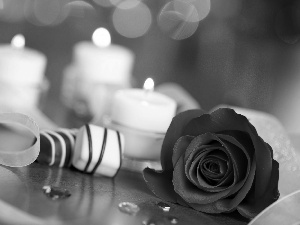 rose, Candles, Valentine