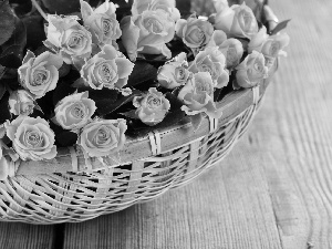 roses, wicker, basket