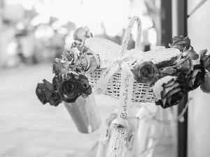 roses, blur, White, basket, Bike