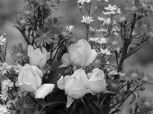 bouquet, Yellow, roses, flowers