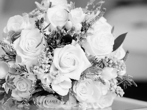 roses, bouquet, White