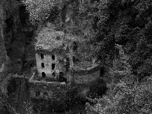 ruins, forest, rocks