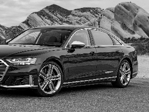 2020, Black, Audi S8