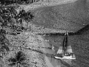 sails, Palms, Yacht, color, Beaches