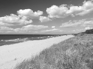 Sand, grass, Waves, Beaches, sea