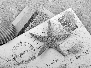 Postcards, starfish, Sand, shell