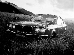 grass, Mazda RX-3, Savanna