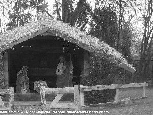 Christmas, nativity scene