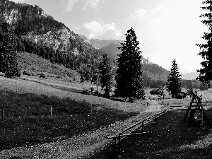 castle, Mountains, Schwangau, Germany, Path, ruins